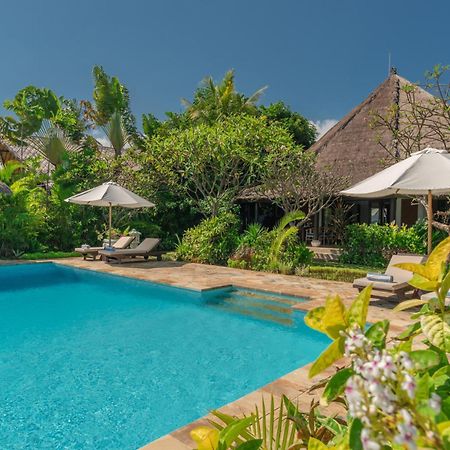 Gorgeous Beachfront Villa Lovina Banjar  Exteriör bild